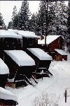 Fresh Fallen Snow At Club Tahoe